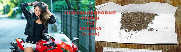 соль ск Вязьма