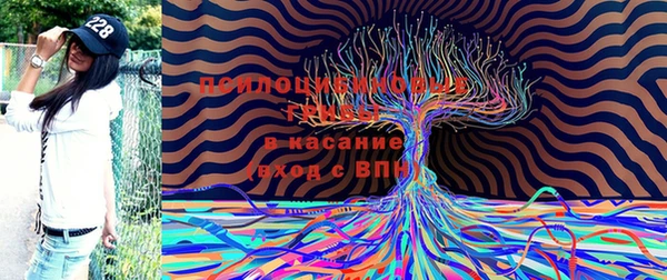 apvp Верхний Тагил