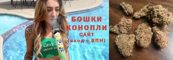 МДПВ Вяземский