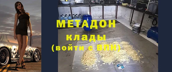 сатива Бородино